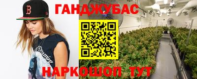 сатива Коммунар