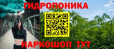 сатива Коммунар